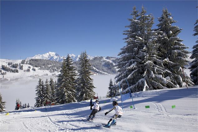 Boardercross des rhododendrons - P. Somelet