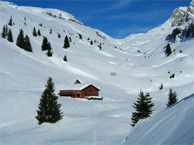 neige de la vallée de bostan - OT Samoens - mathilda Manzi