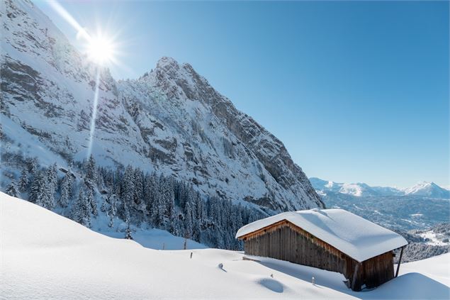DENTS CHALET BOSTAN SOLEIL NEIGE - OT Samoens - Mathilda Manzi