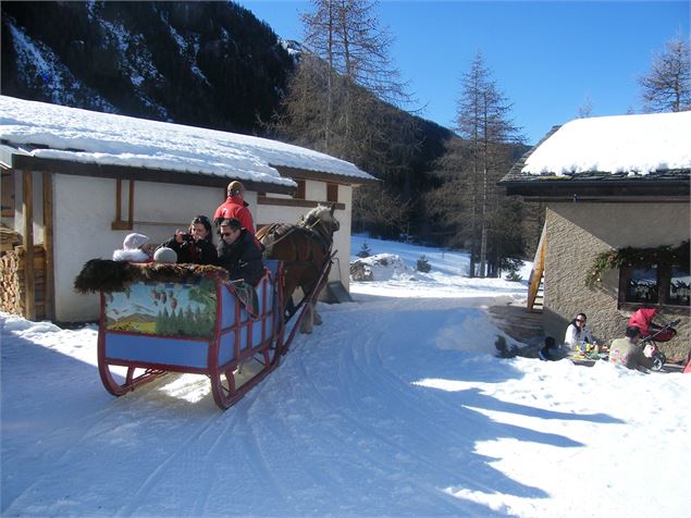Balade en traîneau