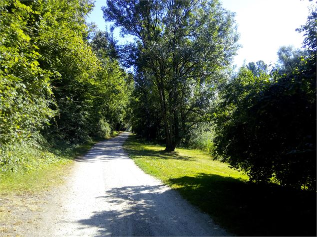 chemin de halage St Vulbas - S.Megani