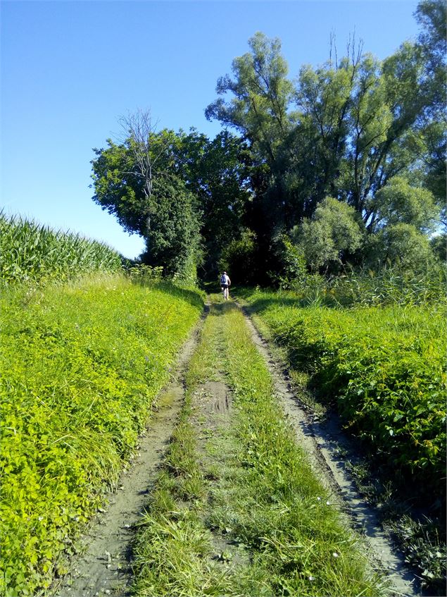 chemin de halage itinéraire vélo - S.Megani