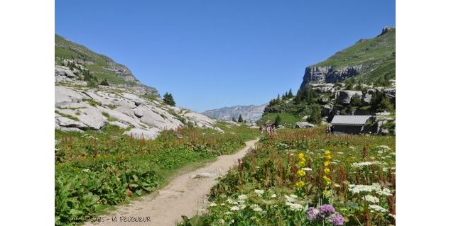 Itinéraire pédestre : la pointe de Sales - Clotilde Simond Georges