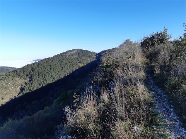 Crête de la Cabatane - scalland