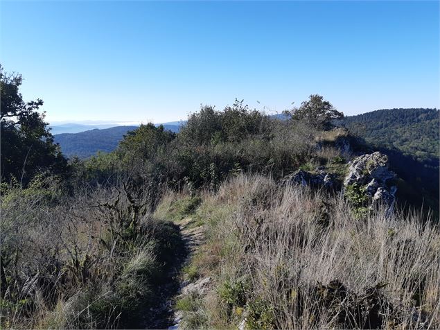 Crête de la Cabatane - scalland