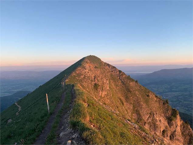 Le Môle au soleil couchant - Môle & Brasses Tourisme