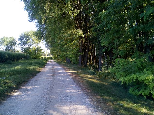 parcours de santé à St Vulbas - S.Megani
