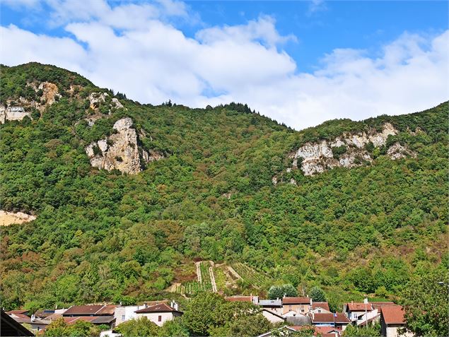 En arrivant sur St Sorlin vue sur les vignes - K.Tranchina