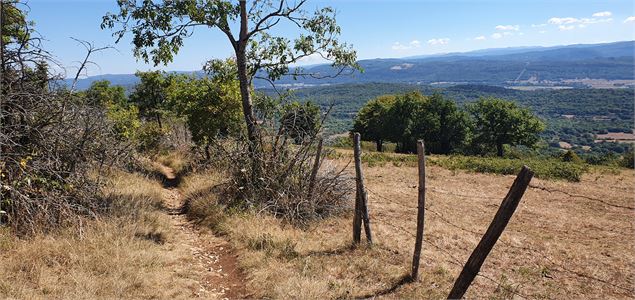 Montagne des Conches - scalland