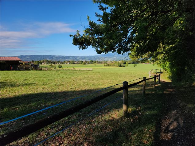 Sentier de randonnée - Ponts et moulins_Fillinges - arnaud lesueur