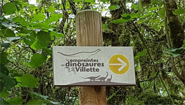 Les empreintes de dinosaures de Villette - png