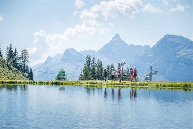 Spot nature Les Carroz - @Sylvain Cochard