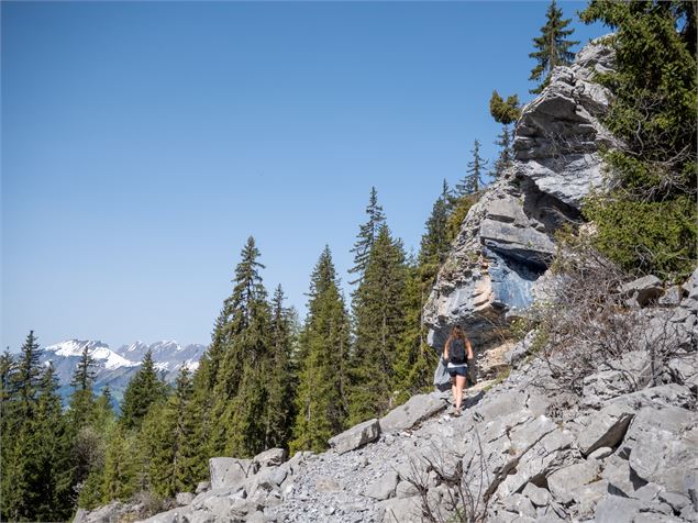 Les alpages du Lachat d'en Haut_Passy - Bichette Voyage