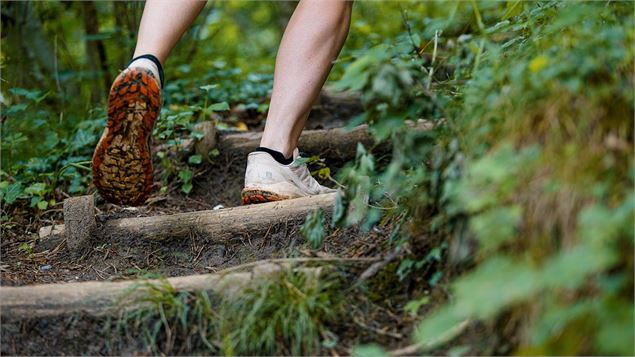 sentier d'accès escarpé - Art Prism