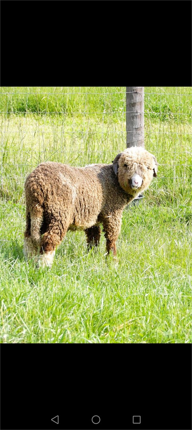 L'Arche de Mymy_Savigneux - Mylène BERNARD