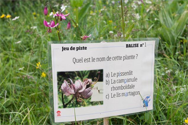 Jardin Alpin du Semnoz