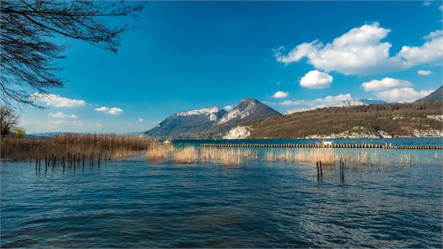 Roselières et marais de l'Enfer - Gillles Piel