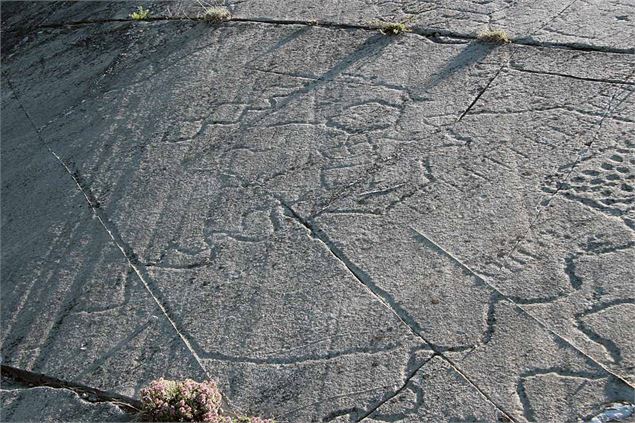 Parc archéologique des Lozes - Gravures rupestres à Aussois - MO. JL Rigaux . OT AUSSOIS