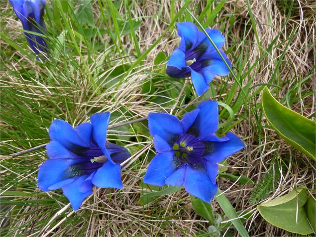 Lac Noir - ©SavoieMontBlanc-Lansard