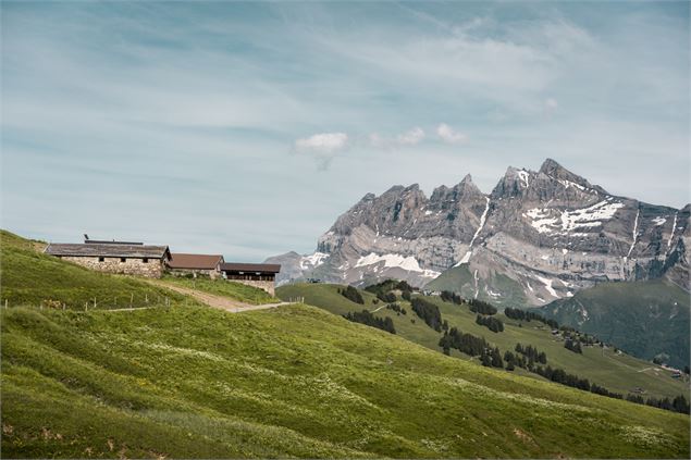 Parcours trail 26 vert : Les Crosets - Chaux Palin_Les Crosets