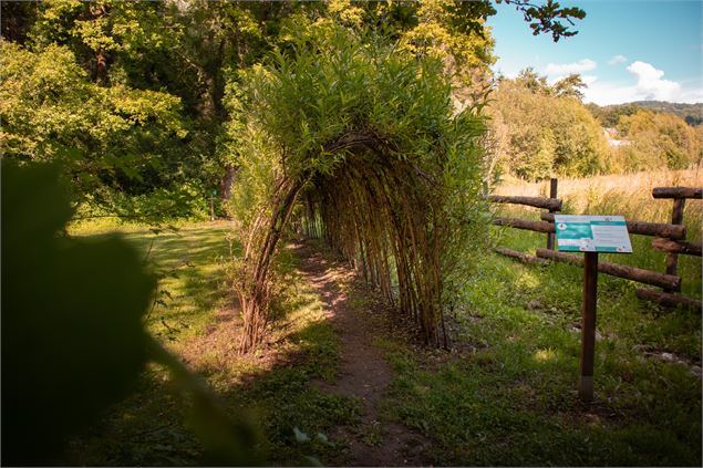 Sentier - OT Monts du Genevois - A.Modylevskaia