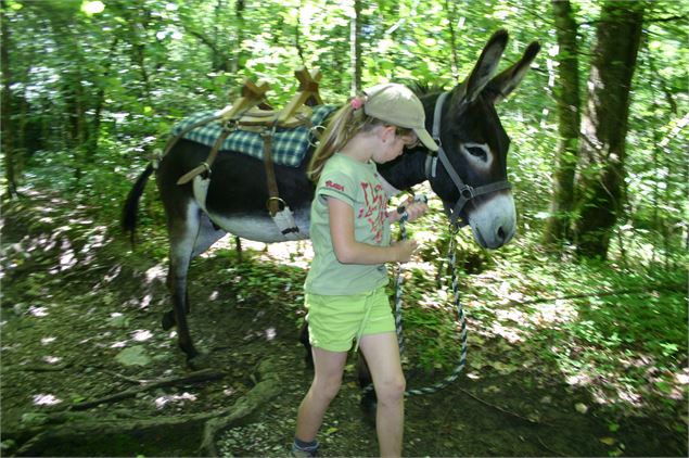 Balade âne - OT Monts du Genevois - A.Modylevskaia