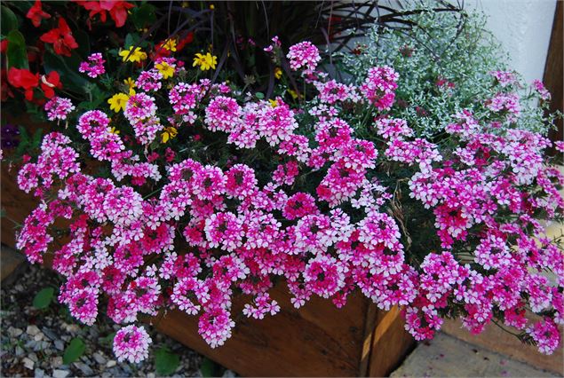 Ferme de Chosal - OT Monts du Genevois - A.Modylevskaia