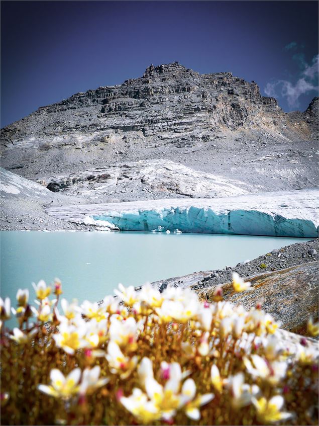 Lac et glacier du Grand Méan - S. Tachet OT HMV