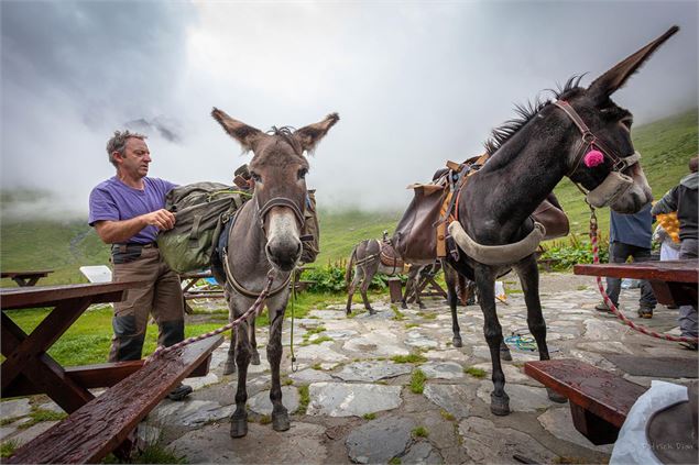Refuge Entre le Lac - Evasion au bord du lac de la Plagne - Rando 2 jours - Patrick Dion