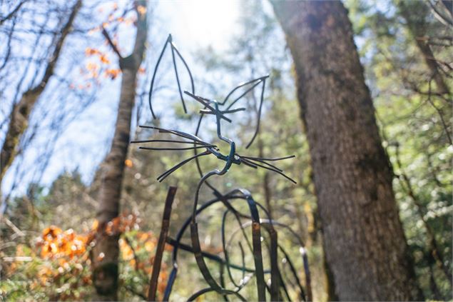 Le sentier des étoiles_Aillon-le-Jeune - Alpigraphie