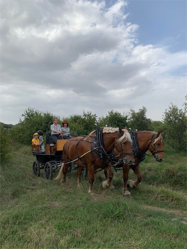 D'un Seul Trait_Saint-Pierre-d'Entremont - Noémie Courson