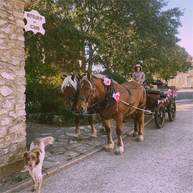 D'un Seul Trait_Saint-Pierre-d'Entremont - Noémie Courson