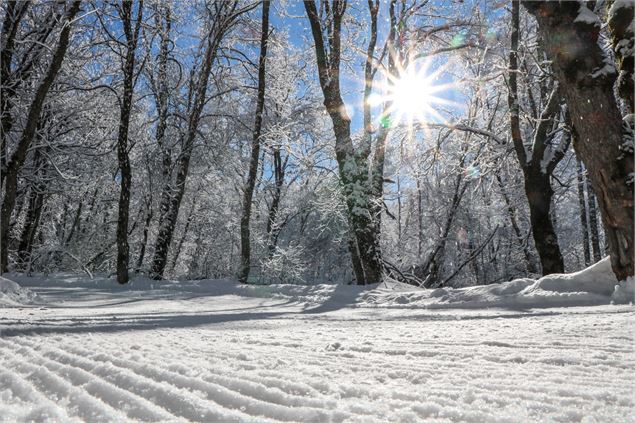 Domaine nordique des Iles - © OT Saint Sorlin d'Arves - V Bellot-Mauroz