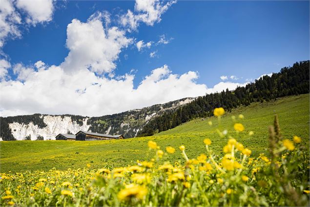 Pralin-Mugnier - David André