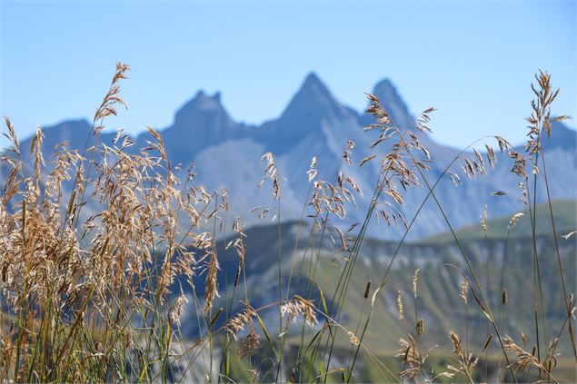 Aiguilles d'Arves en arrière plan - © OT Saint Sorlin dArves - V Bellot-Mauroz