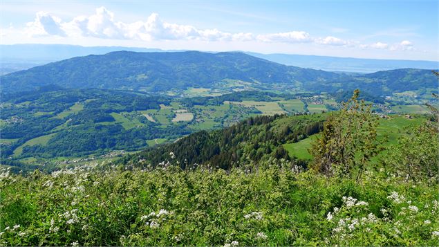 Alpage de la Joux - Christelle Becameil