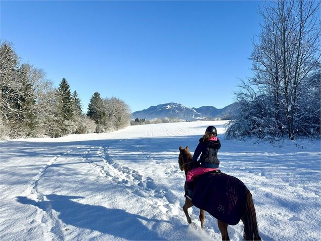 - Centre équestre des bauges