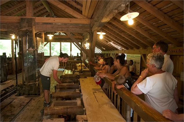 Visite de la scierie - Cédric Chovet