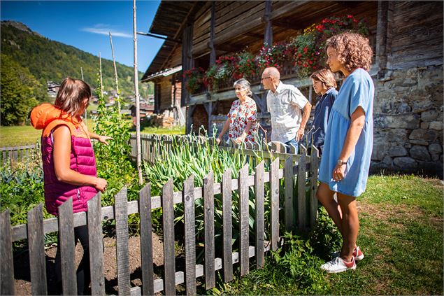 Jardin MDP - J. Cathala