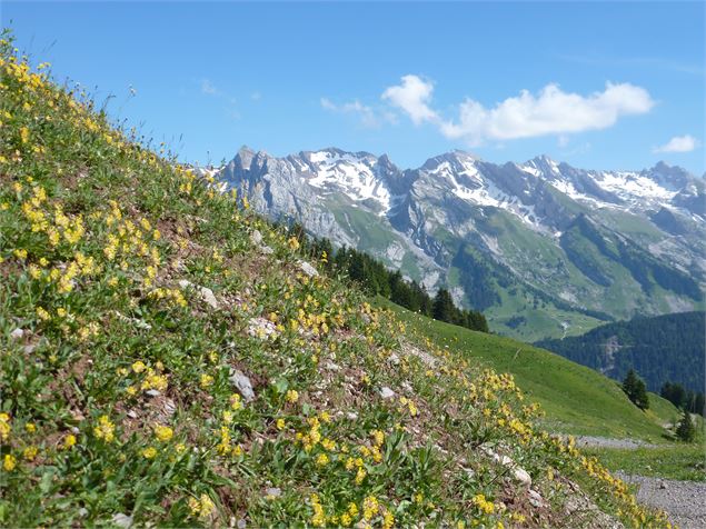 Le tour du Lachat - Alpcat Medias