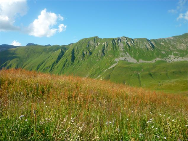 Sur le parcours du Tour du Lachat - Alpcat Medias