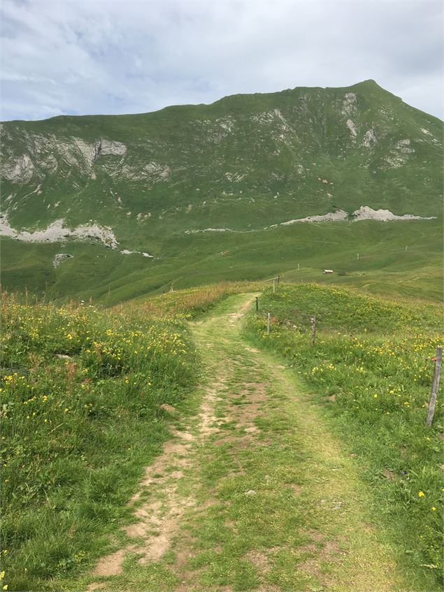 Le Tour du Lachat - Alpcat Medias