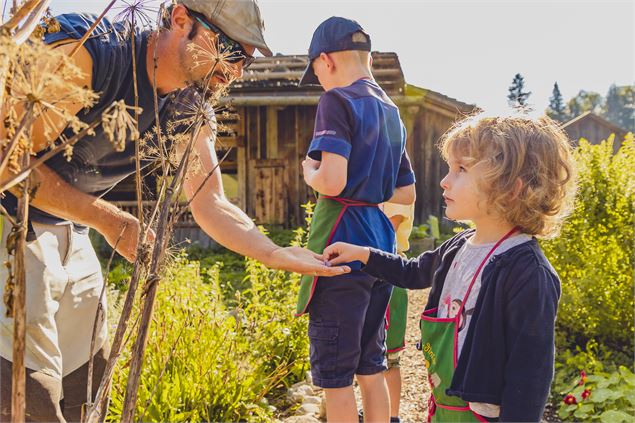 La Source - Le Grand-Bornand - T. Vattard