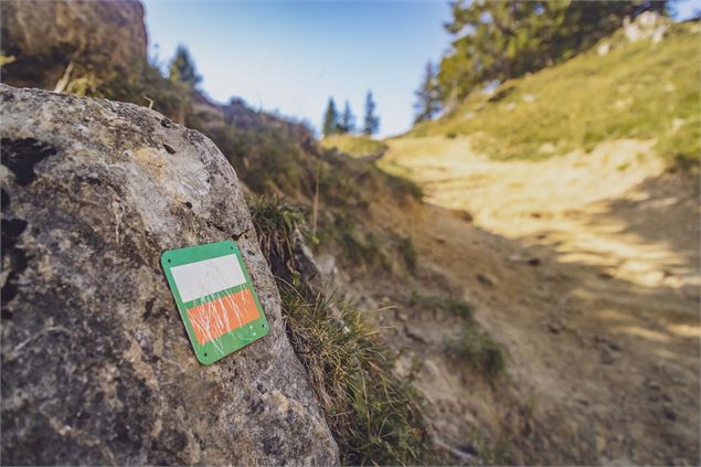 Sentier de découverte du milieu montagnard 3 - C. Cattin - Alpcat Medias