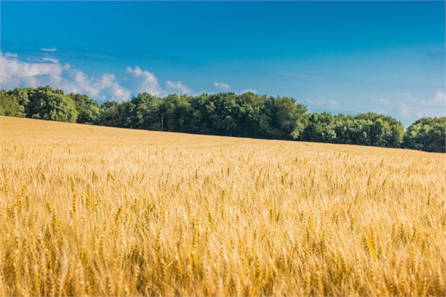 Sentier Nature du Vuache - Alpcat Médias