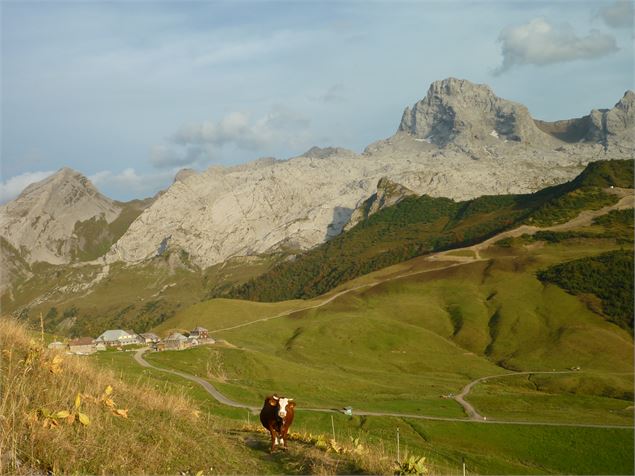 Col des Annes - M.Luchessi - Le Grand-Bornand tourisme