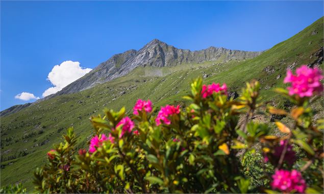 Montée refuge Grand Bec - Geoffrey Vabre