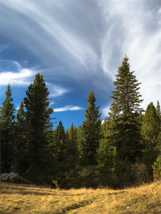 Sur le chemin - Geoffrey Vabre