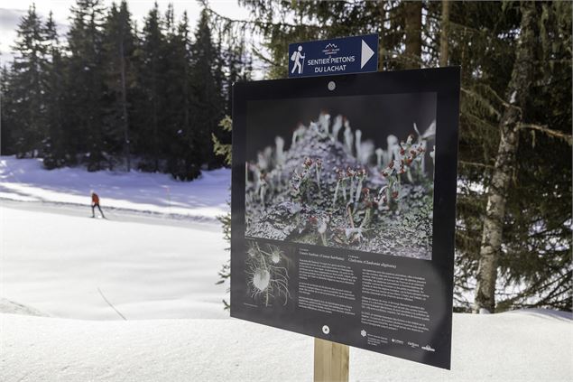 Se balader et s'informer sur la biodiversité de la Tourbière - Yannick Lenoir et Nicolas Gilormini p