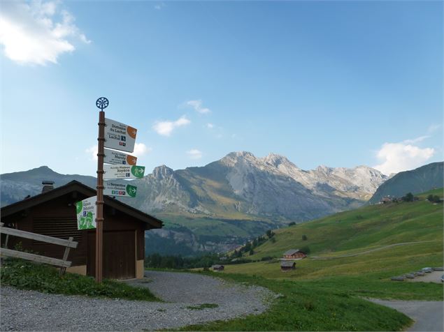 Plateau du Rosay - T. Vattard